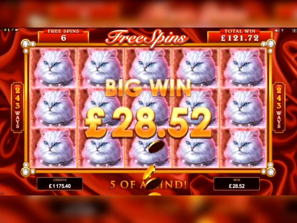 785% Match at a Casino at Boa Boa Casino