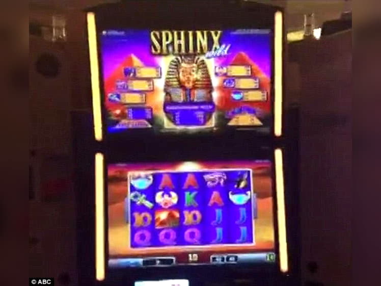 $3333 NO DEPOSIT BONUS at Campo Bet Casino