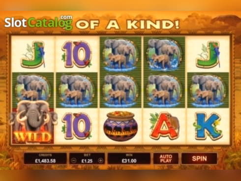 €77 Casino tournaments freeroll at Zet Casino