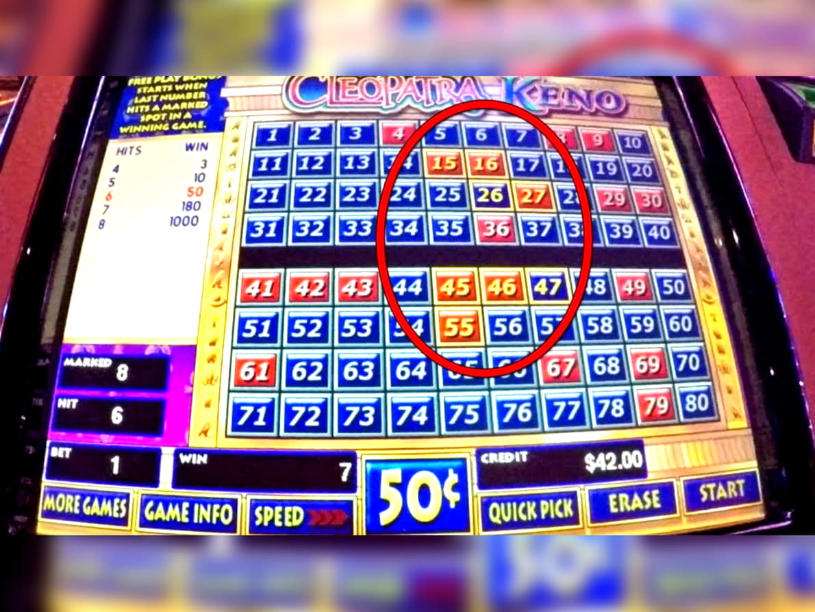 £105 Free Chip at Campo Bet Casino
