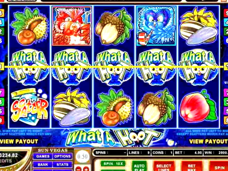 $135 Free Chip Casino at Wild Blaster Casino