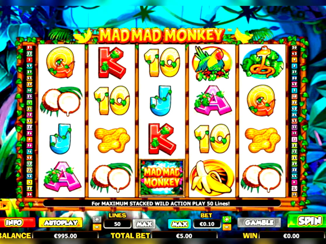 480% Match at a Casino at Zet Casino