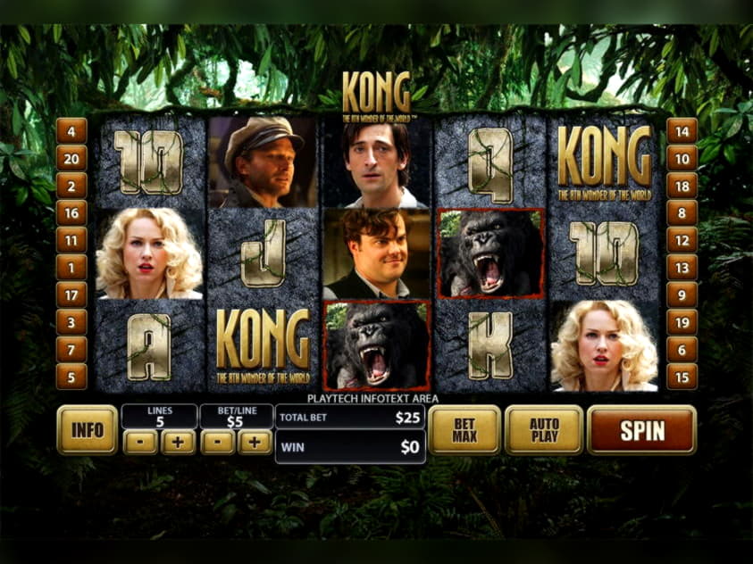 265 free spins casino at Campo Bet Casino