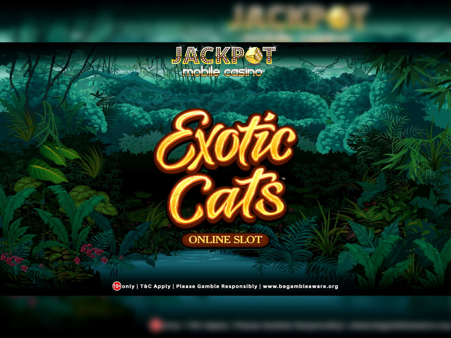 $675 Casino tournaments freeroll at Slotty Dubai Casino