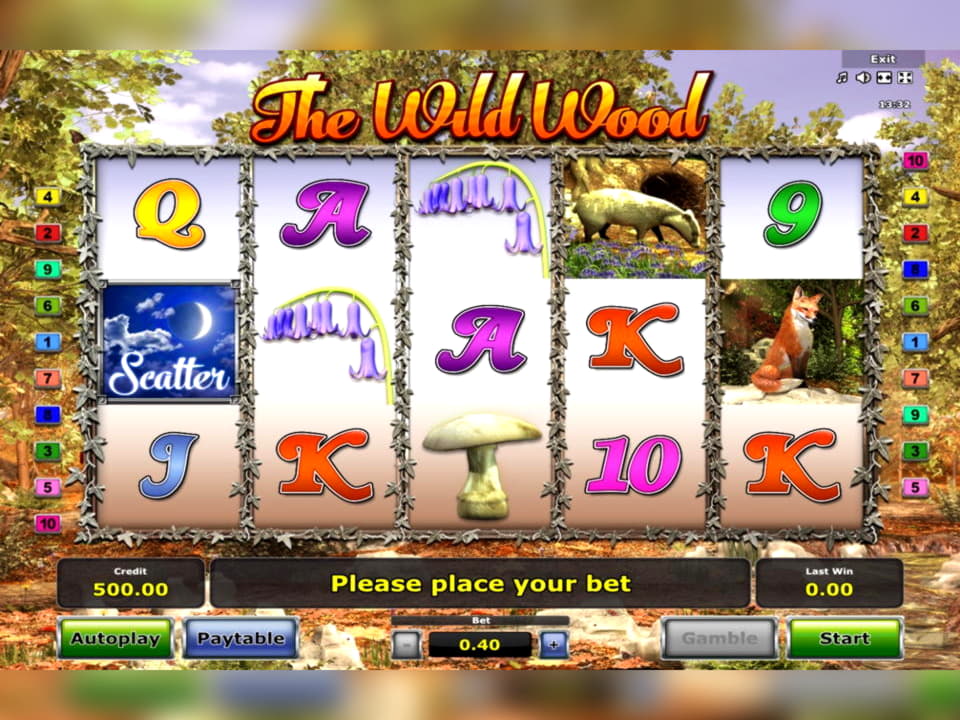 765% First deposit bonus at Wix Stars Casino