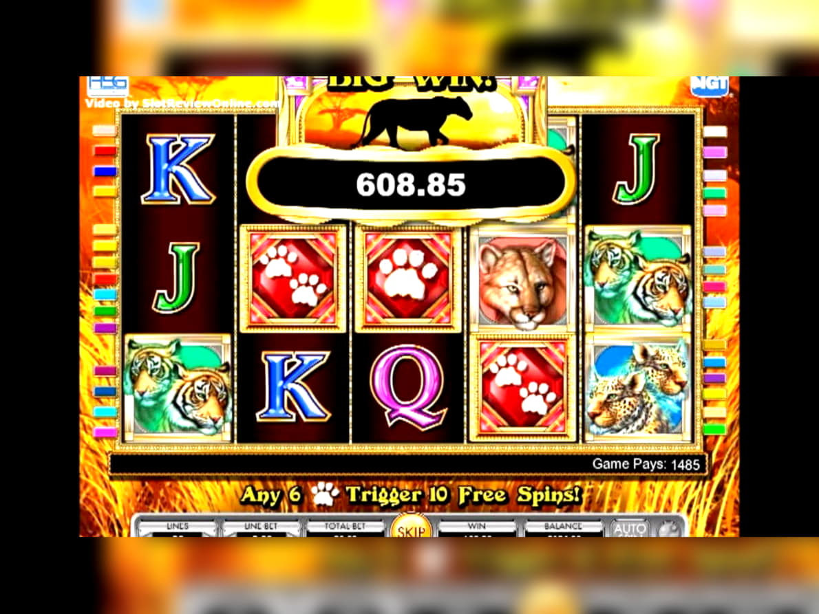EUR 360 Casino Chip at Bet Rebels Casino