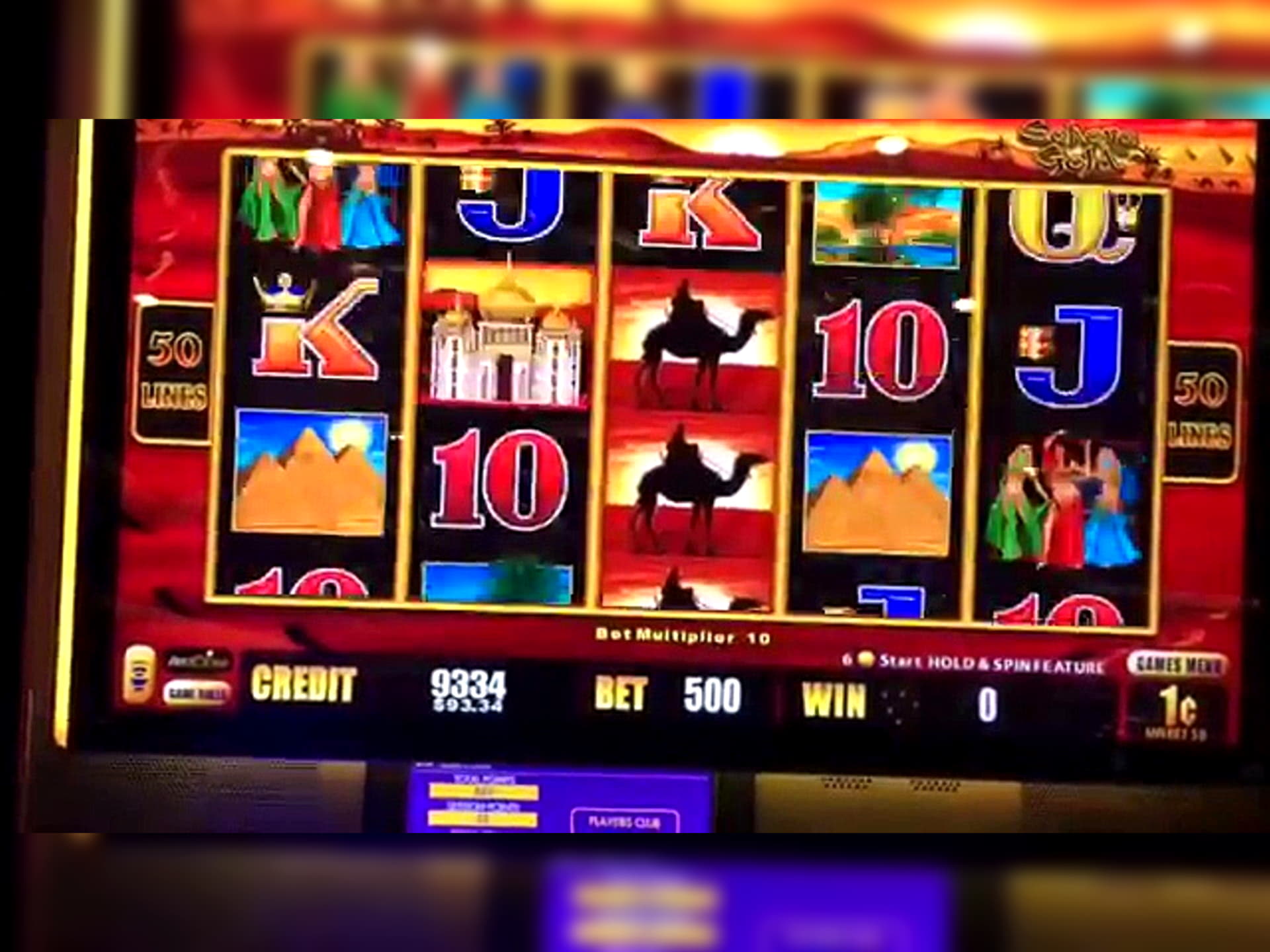 195 FREE SPINS at Alf Casino