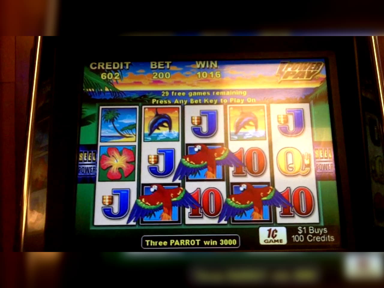 895% Signup Casino Bonus at Zet Casino