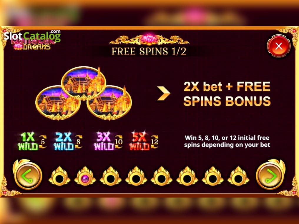 $505 Casino Chip at Wild Blaster Casino