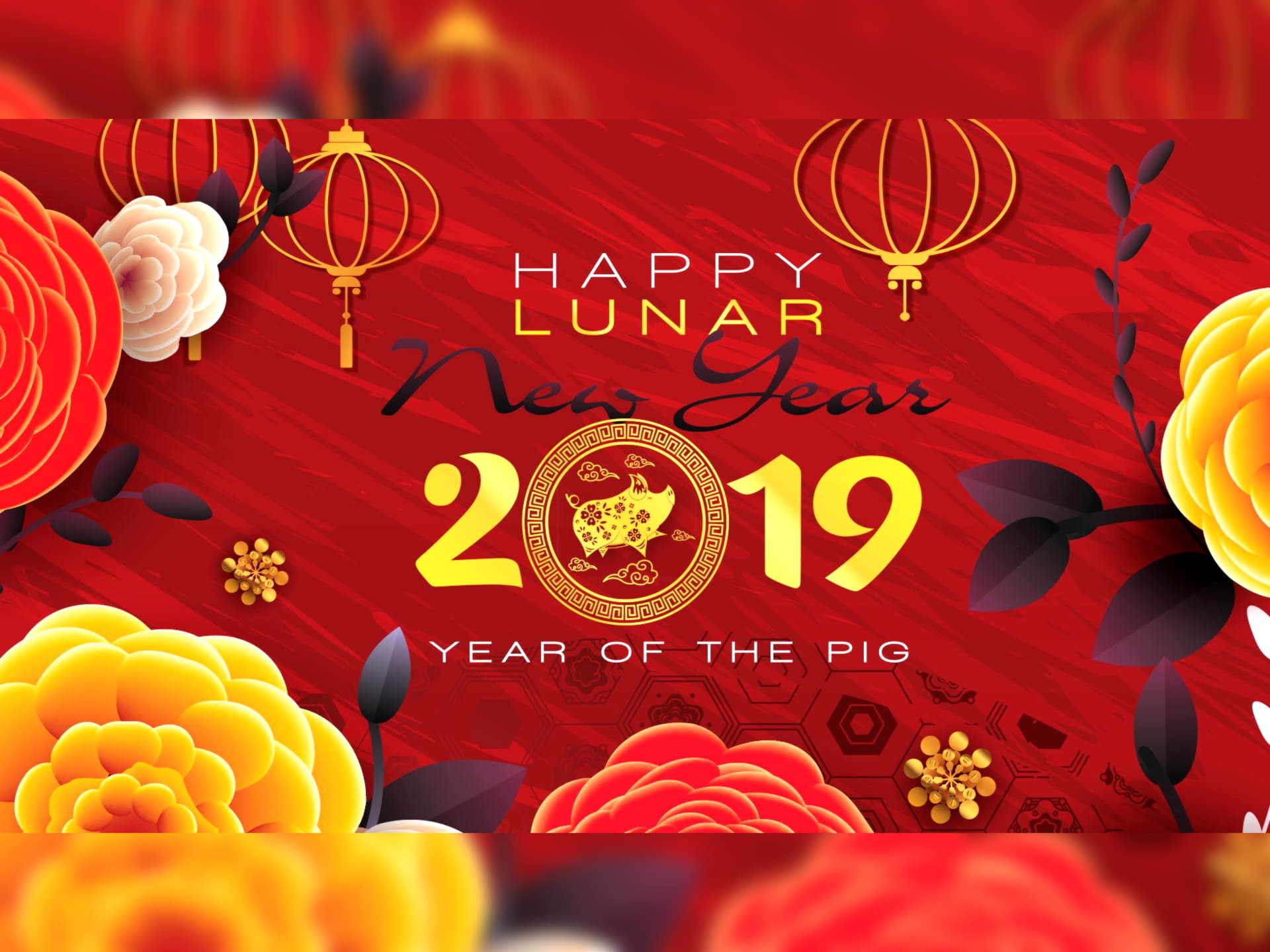110% Welcome Bonus at Alf Casino