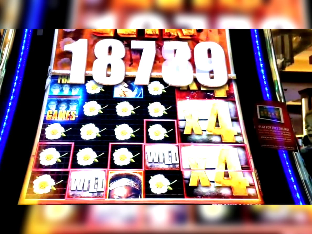 230% Match at a casino at Casinia Casino