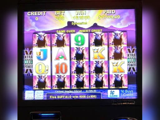 £2180 No Deposit Bonus Code at Malina Casino