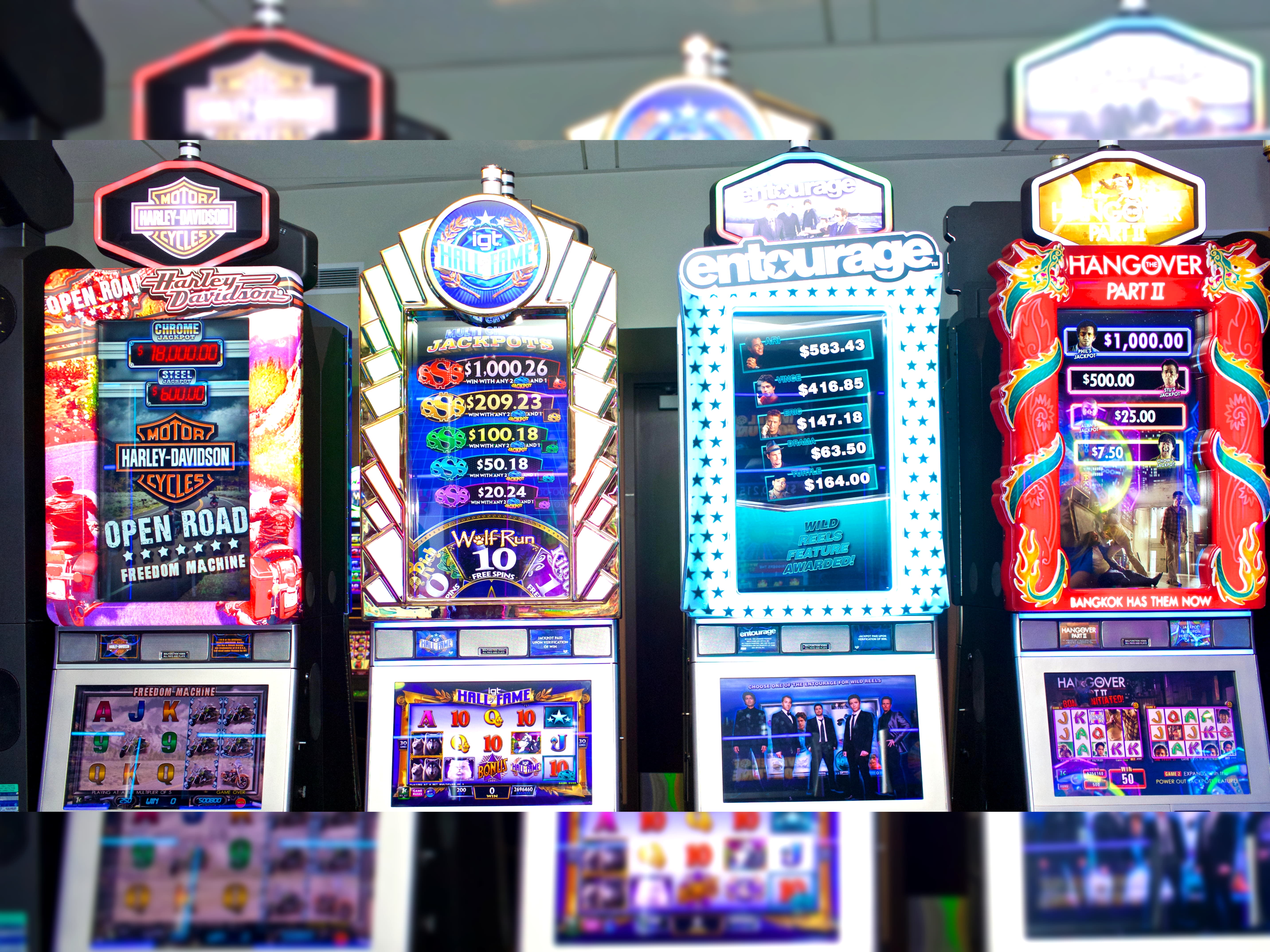550% Match at a casino at Campo Bet Casino