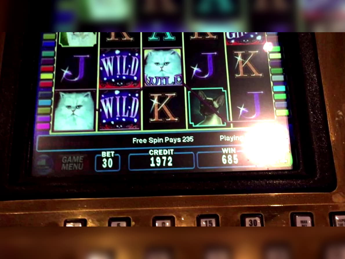 ﻿$995 Tournament at Casino com