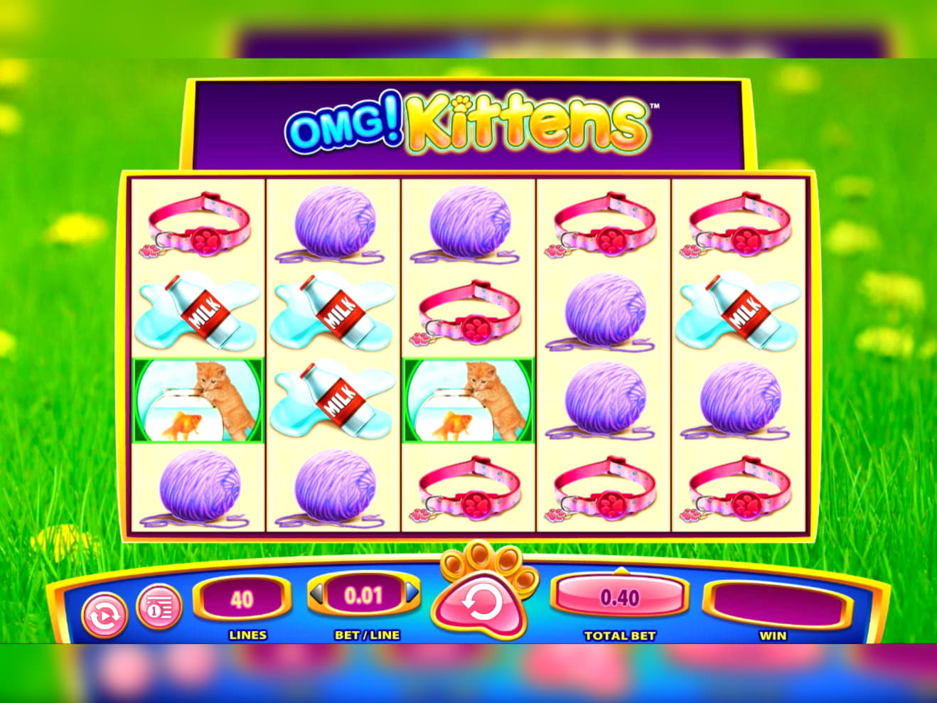 245 Loyal Free Spins! at Boa Boa Casino