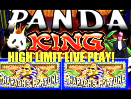 €4505 No deposit bonus at Casinia Casino