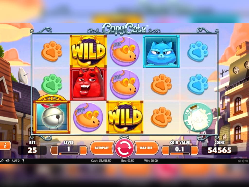 105% Match bonus at Campo Bet Casino