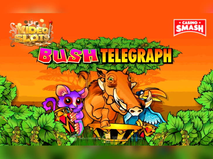 Eur 605 NO DEPOSIT BONUS CASINO at Malina Casino
