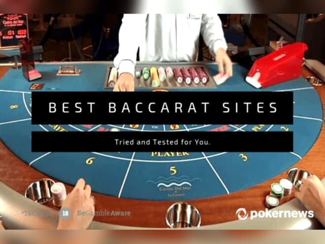 $80 Free Money at Campo Bet Casino