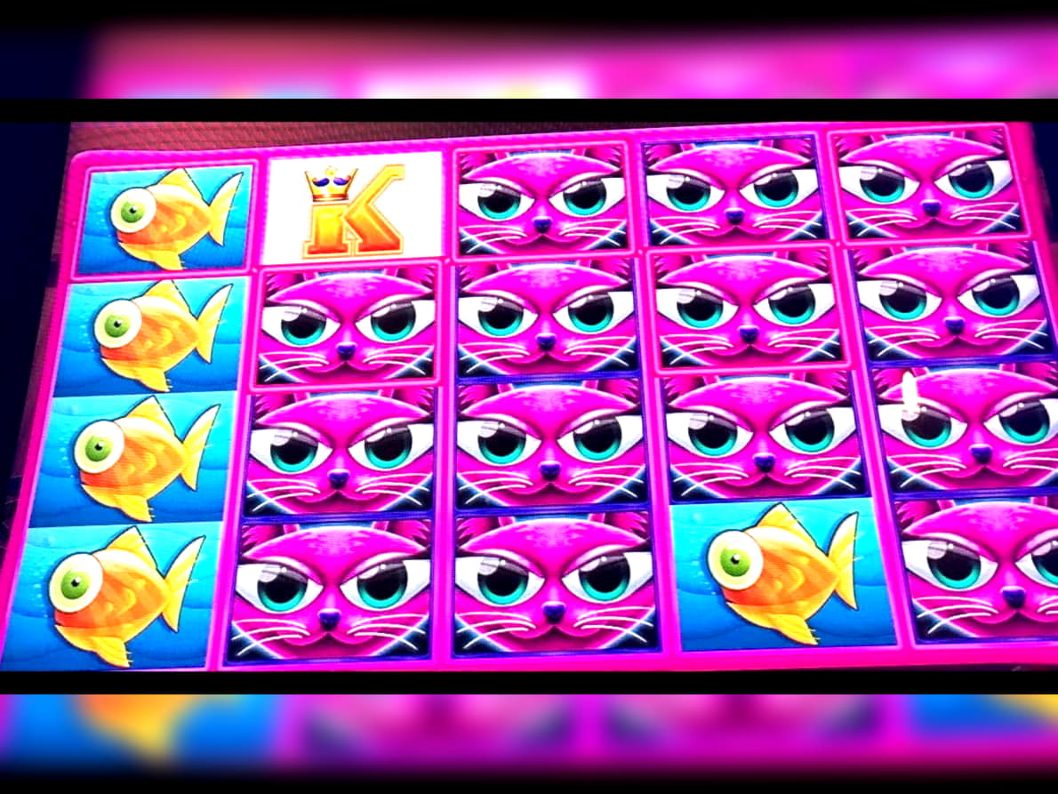 €760 Free Casino Tournament at Malina Casino