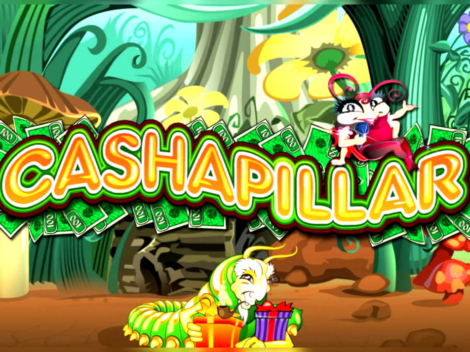 EUR 940 Casino tournaments freeroll at Campo Bet Casino