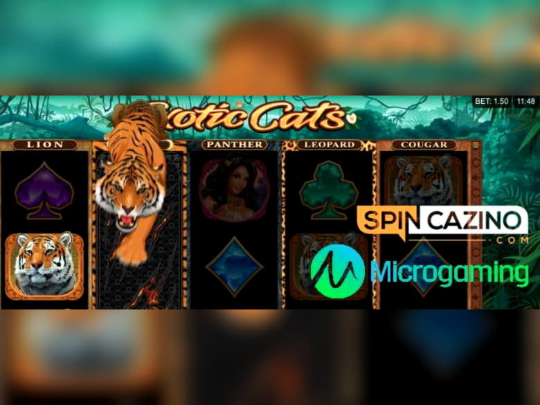 265 FREE SPINS at Video Slots Casino