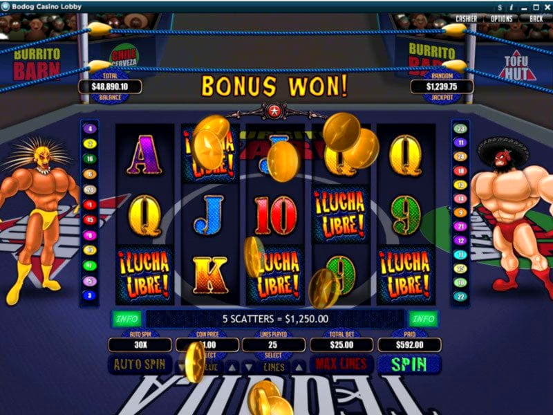EUR 1240 NO DEPOSIT BONUS CODE at Slotty Dubai Casino