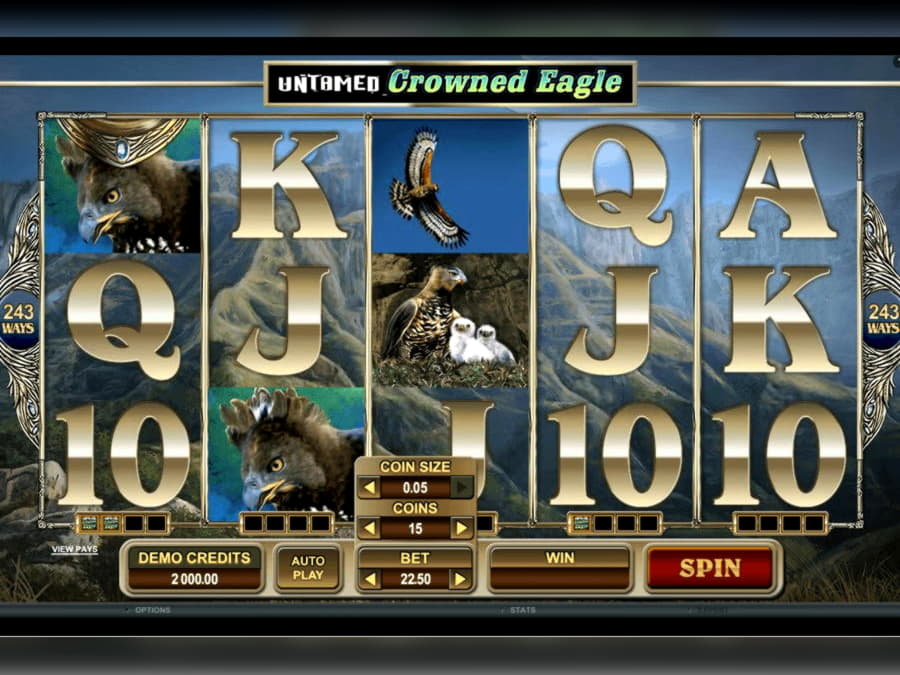 Eur 690 free chip casino at Wix Stars Casino