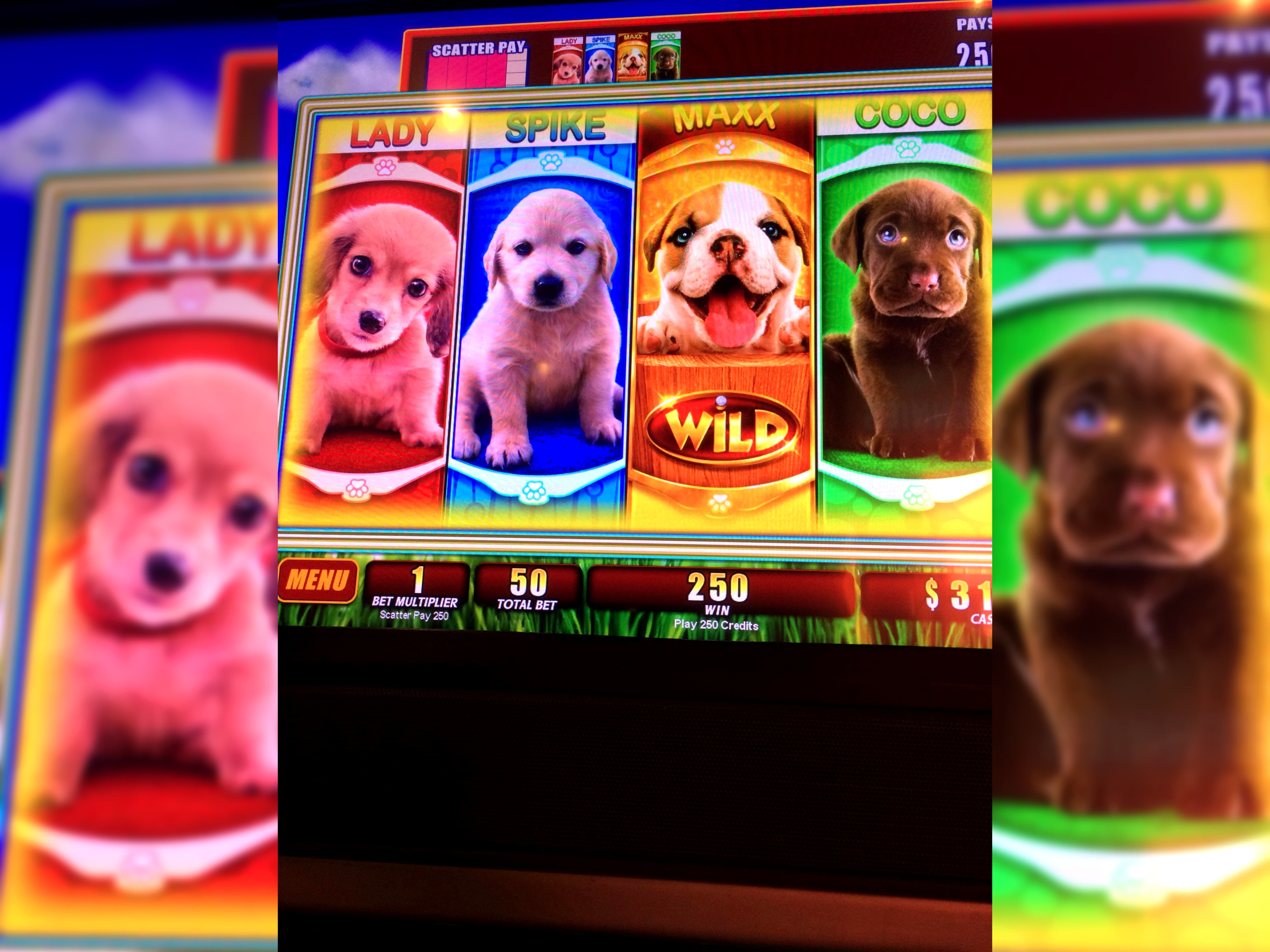 £295 Casino Chip at 888 Casino