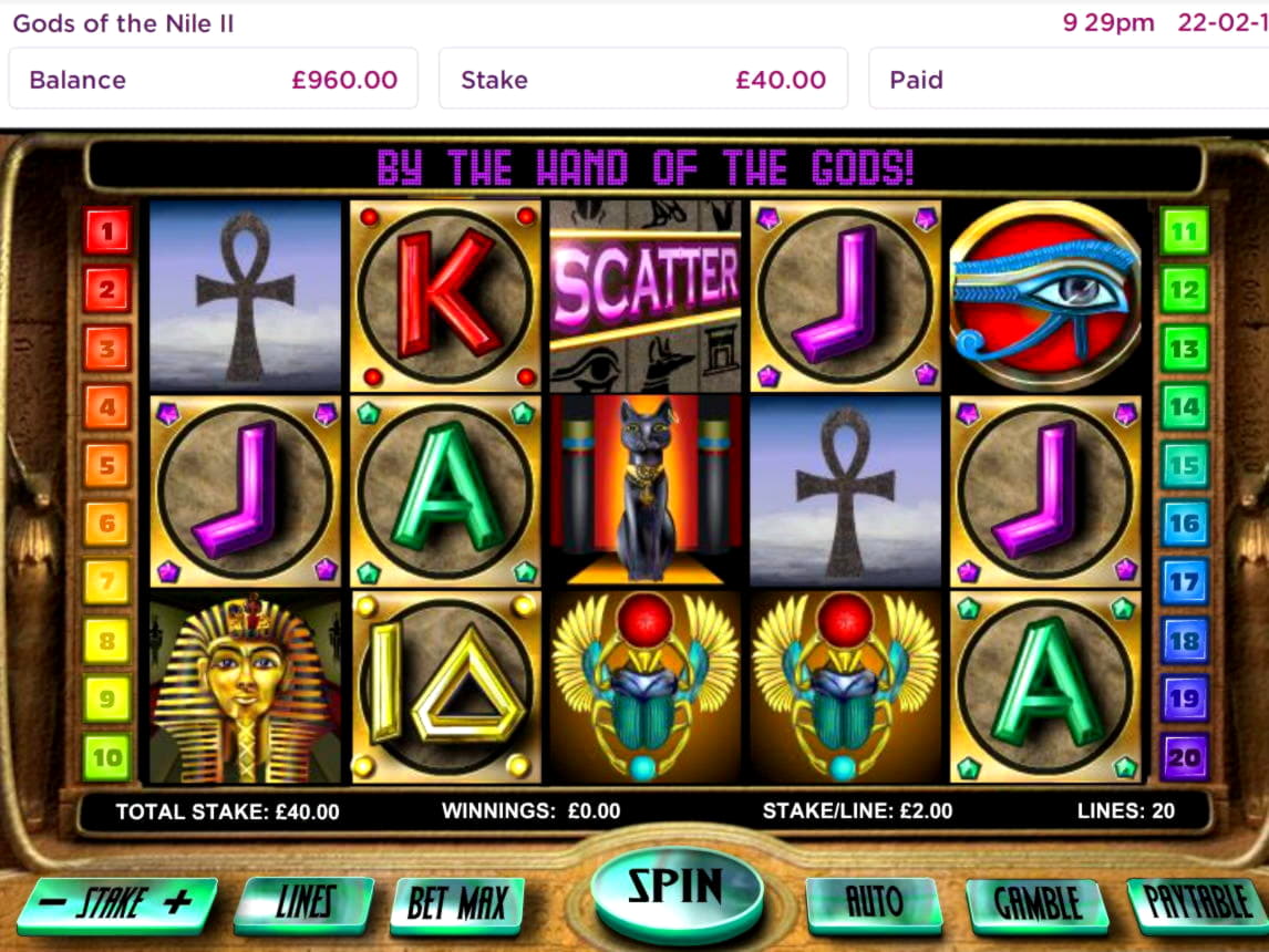 265 FREE Spins at Slotty Dubai Casino