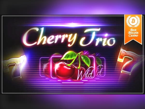 $1325 no deposit casino bonus at Wix Stars Casino