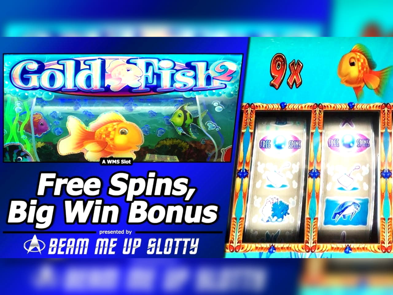 $66 Free Chip at Malina Casino