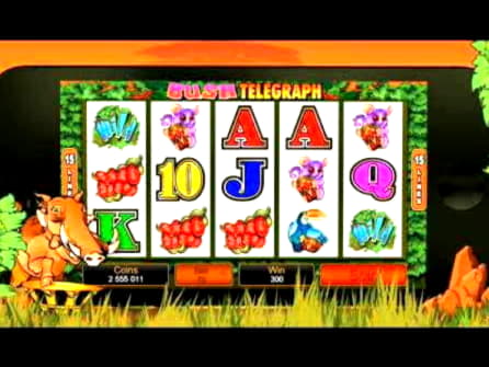 205 free spins no deposit casino at Campo Bet Casino