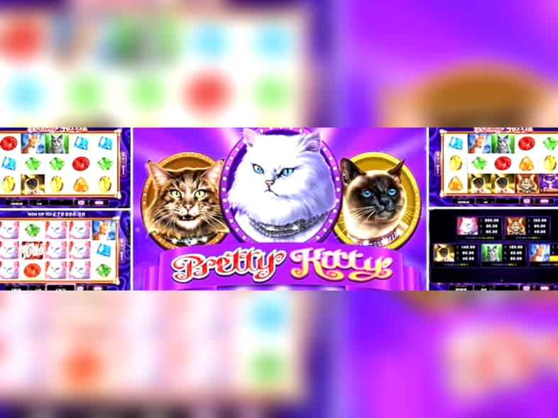 Eur 255 Free Chip at Video Slots Casino