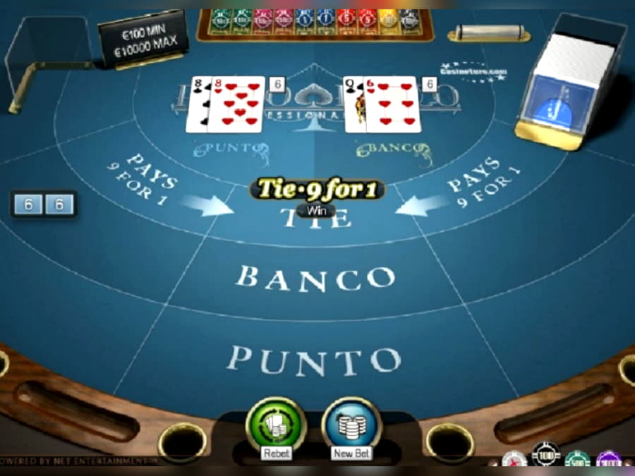 $1575 No deposit bonus at Campo Bet Casino