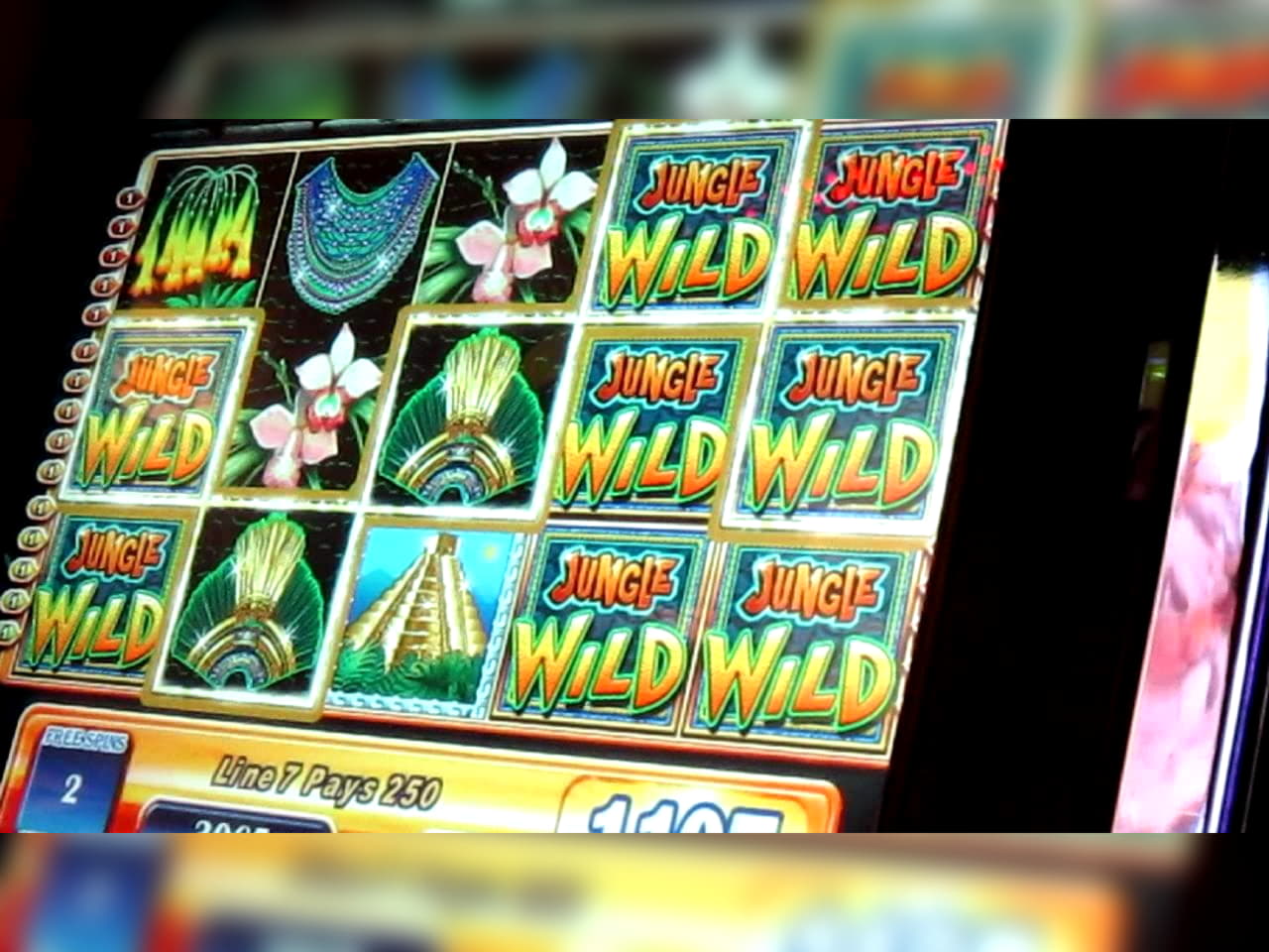 $4260 No Deposit Bonus Code at Slotty Dubai Casino