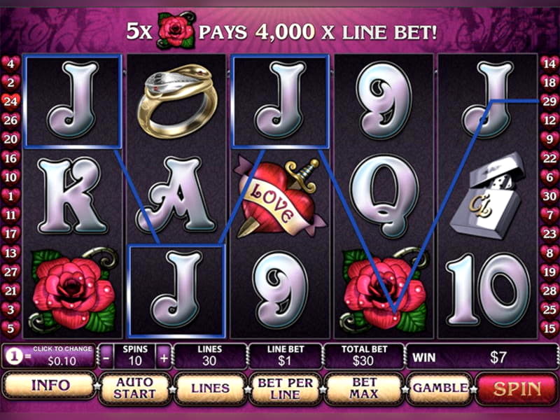 Eur 1300 No Deposit at Wix Stars Casino