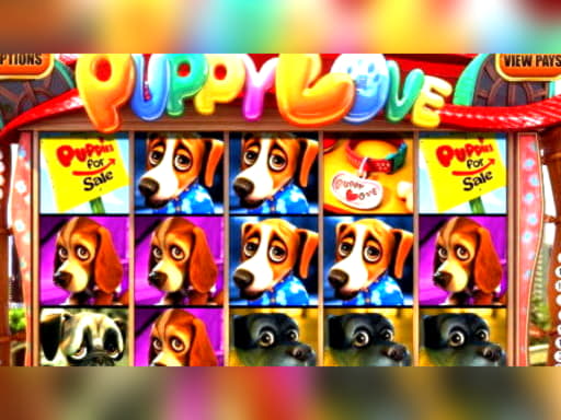 45 Loyal Free Spins! at Cadoola Casino