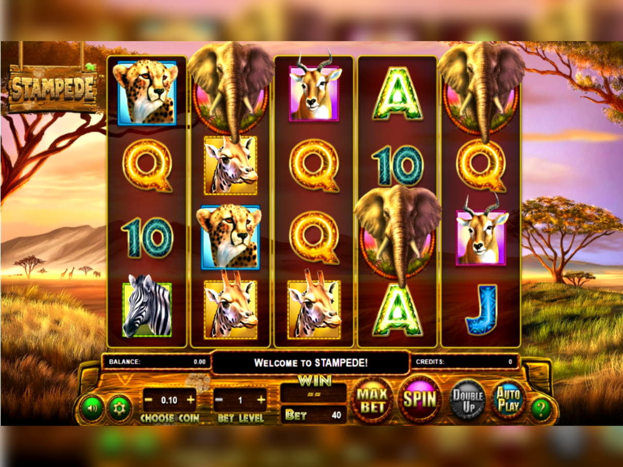 Eur 630 Free Casino Tournament at Boa Boa Casino