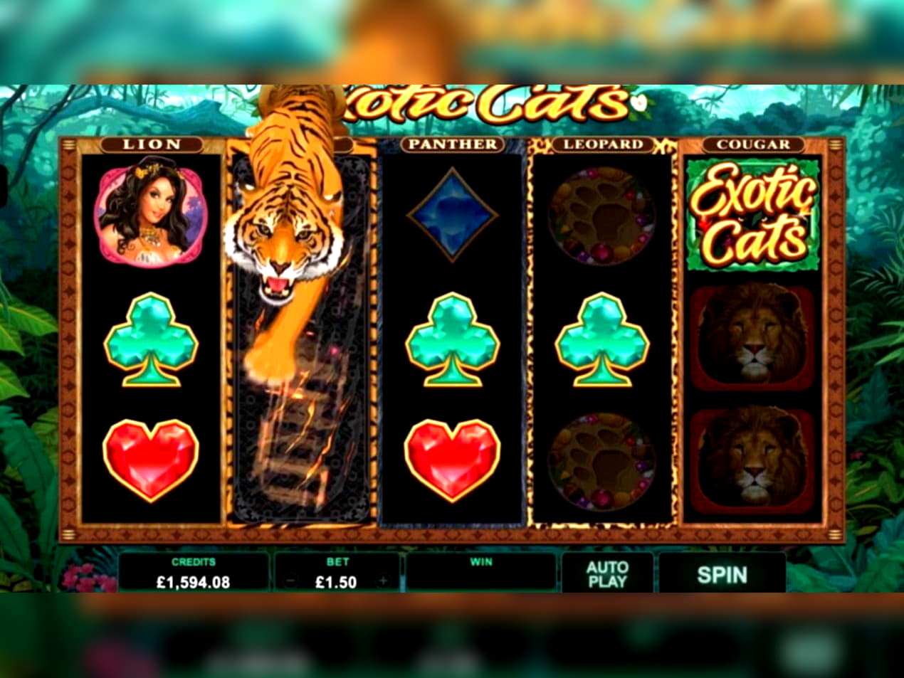 ﻿$125 Tournament at Cadoola Casino