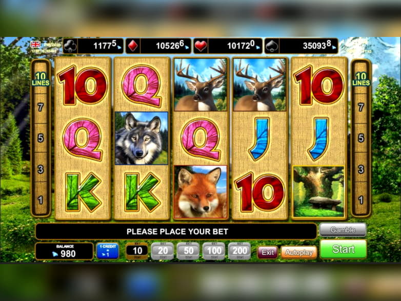 195 Free Spins Casino at Boa Boa Casino