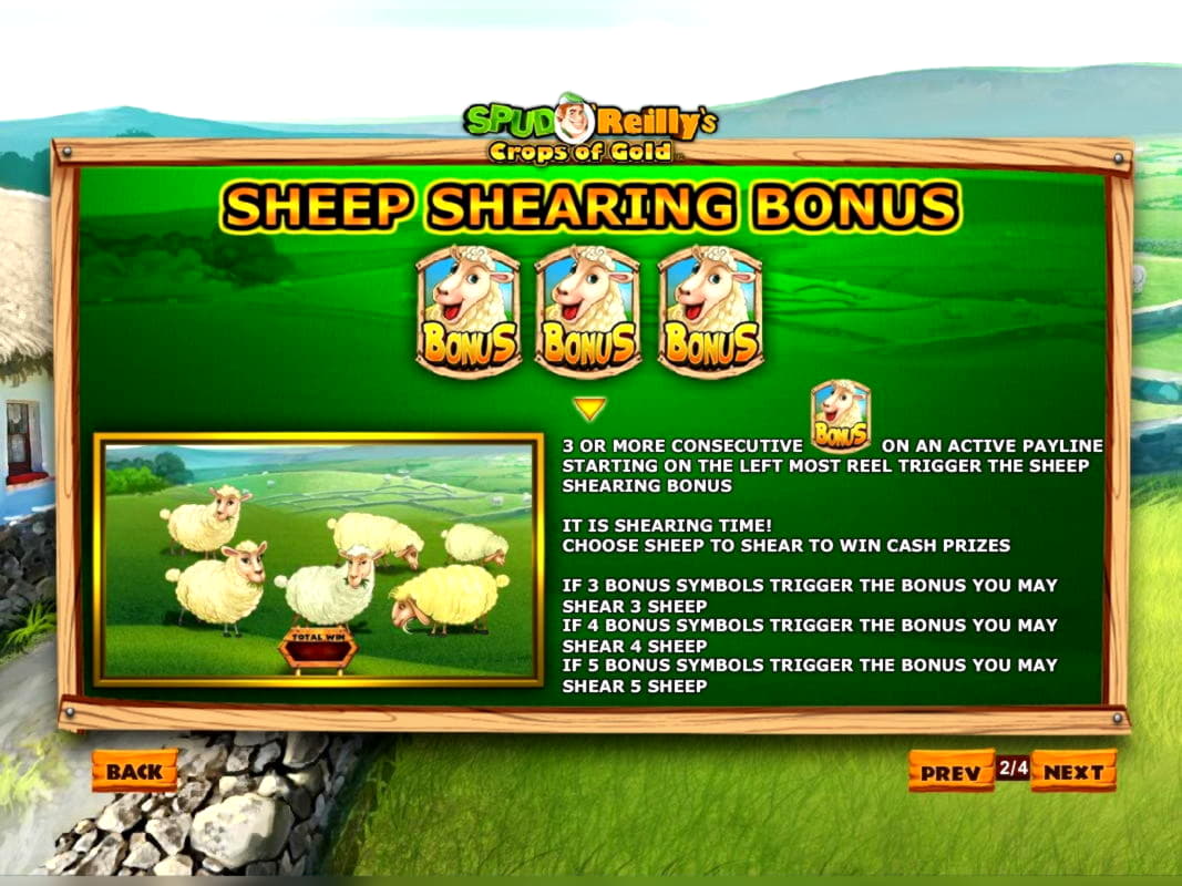 675% Casino match bonus at Wild Blaster Casino