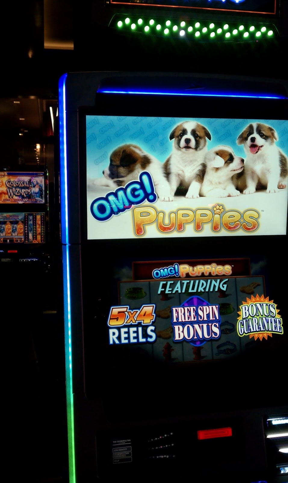 215 Free spins no deposit at Campo Bet Casino