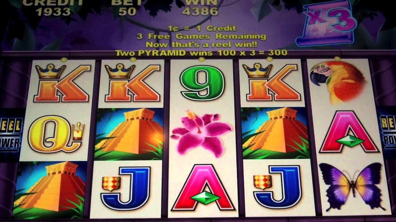 100 Loyal Free Spins! at Platin Casino