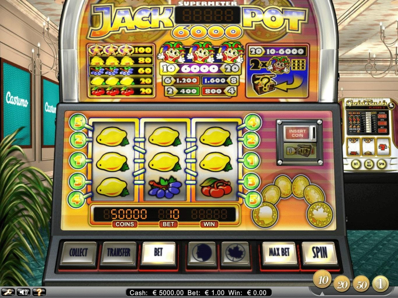 240 free spins casino at Campo Bet Casino