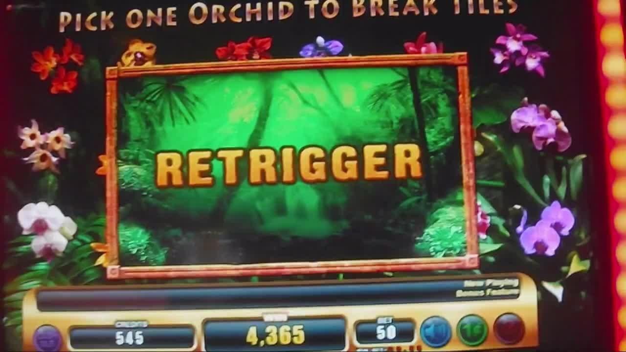 Eur 585 No deposit bonus casino at Mrgreen Casino