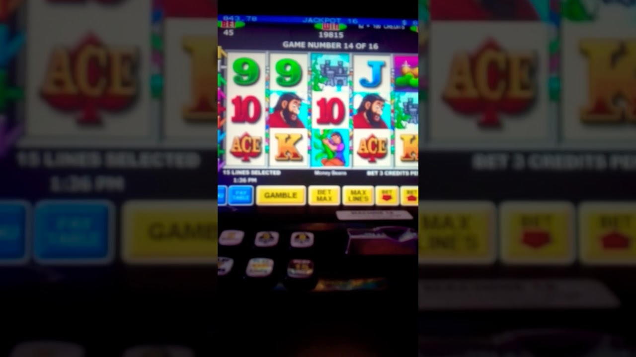 100 free spins casino at Reload Bet Casino