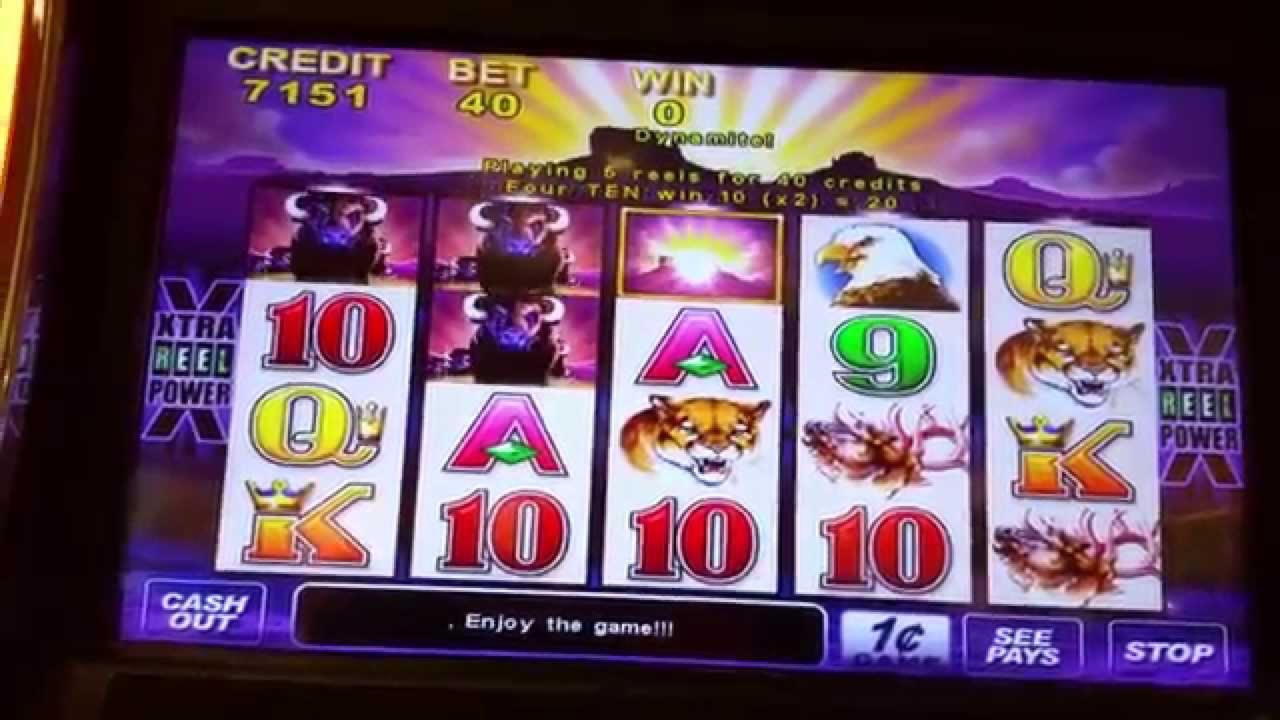 ﻿$3250 NO DEPOSIT at Malina Casino