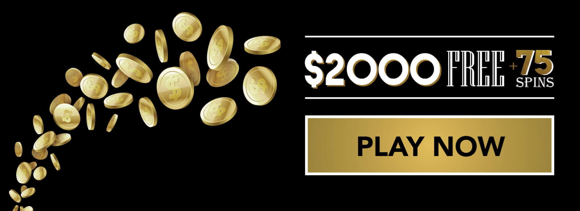 165 Free Spins no deposit at Campo Bet Casino