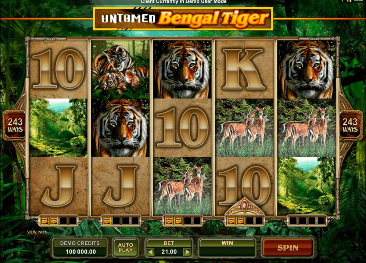 640% Deposit Match Bonus at Reload Bet Casino